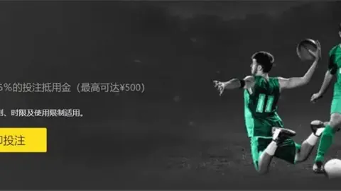 张雨霏就任高校游泳学院副院长